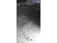 https://yedekparcabak.com/