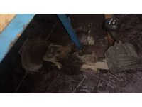 https://yedekparcabak.com/